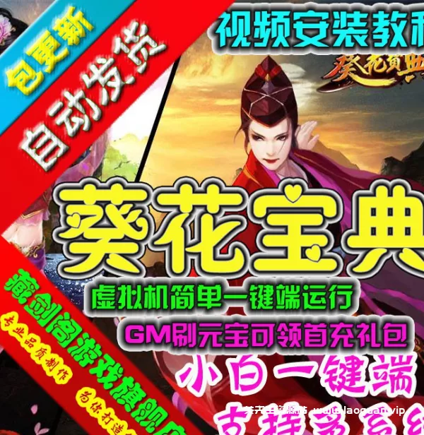 《葵花宝典》武侠风虚拟机一键端游戏（页游） - 关先生资源站-关先生资源站