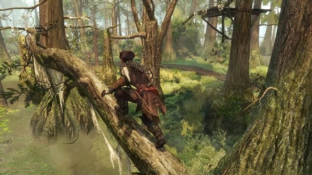 图片[3]-【Switch】刺客信条3：重置版-v1.0.3-1dlc - 关先生资源站-关先生资源站
