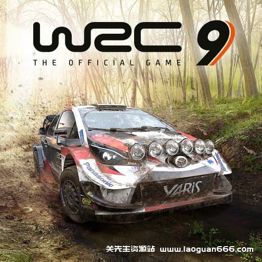 【Switch】世界拉力锦标赛9-v1.0.0+4dlc-中文35帧 - 关先生资源站-关先生资源站