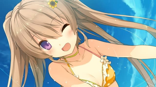 图片[6]-【Switch】苍之彼方的四重奏 EXTRA2S-60帧-日文 - 关先生资源站-关先生资源站