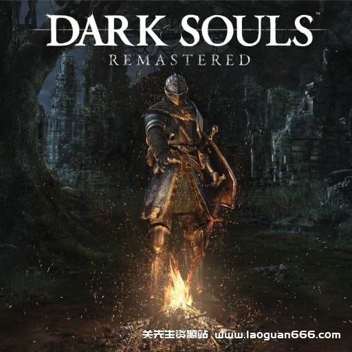 【Switch】黑暗之魂：重制版-v1.0.3-30帧-开头走一段路画面就正常啦 - 关先生资源站-关先生资源站