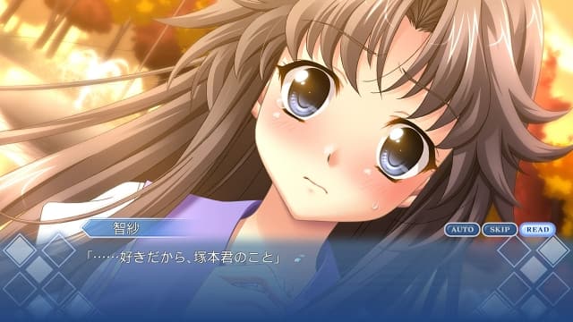 图片[4]-【Switch】秋之回忆5：中断的胶片-v1.0.1-60帧 - 关先生资源站-关先生资源站