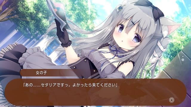 图片[4]-【Switch】巧克甜恋 Amairo Chocolate-60帧 - 关先生资源站-关先生资源站