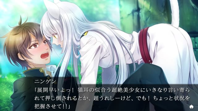图片[2]-【Switch】穿军靴的猫-60帧-日文 - 关先生资源站-关先生资源站