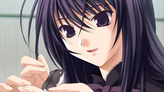 图片[3]-【Switch】无限轮回 Ever 17-第七夜-无限轮回的终结-60帧 - 关先生资源站-关先生资源站