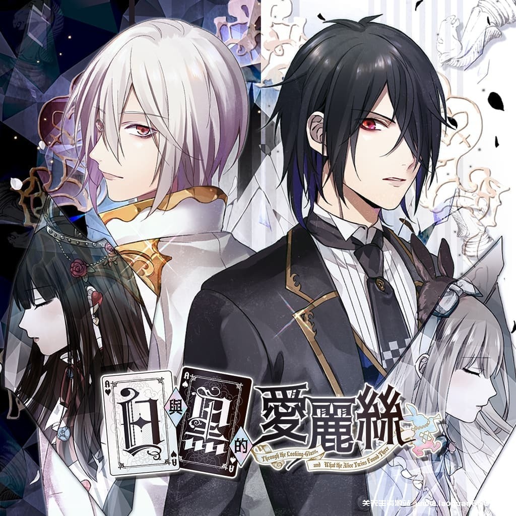 【Switch】白与黑的爱丽丝-30帧 - 关先生资源站-关先生资源站