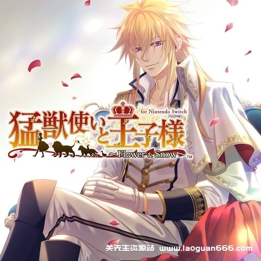 【Switch】驯兽师与王子殿下：花与雪-60帧-日文 - 关先生资源站-关先生资源站