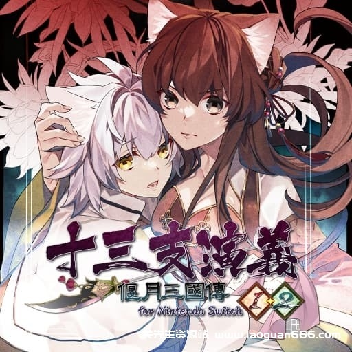 【switch】十三支演义 偃月三国传-60帧 - 关先生资源站-关先生资源站