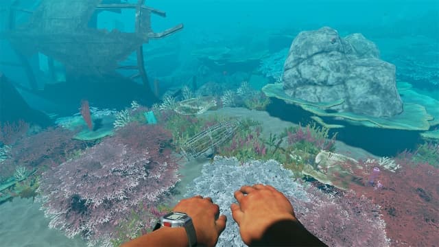 图片[5]-【Switch】荒岛求生Stranded Deep-v1.03-60帧-附汉化补丁 - 关先生资源站-关先生资源站