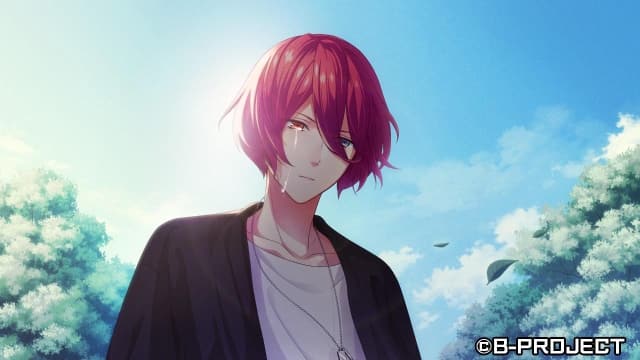 图片[3]-【Switch】B计划 流星幻想曲-v1.0.0-中文60帧 - 关先生资源站-关先生资源站